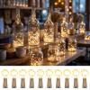 inpmrl Bottle Lights with Cork, 20 LED 7ft Warm White Copper Wire Lights view 1