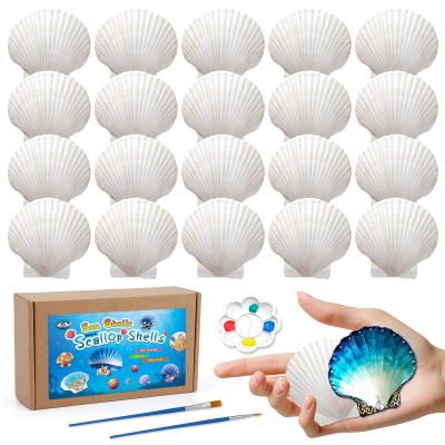MORFEN 20 PCS Scallop Shells, Seashells for Crafts, 2''-3'' White Sea Shells for Crafting Decorating, Painting, Large Seashells to Paint DIY Craft Beach Wedding Party Decorations