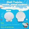 MORFEN 20 PCS Scallop Shells, Seashells for Crafts, 2''-3'' White Sea Shells for Crafting Decorating, Painting, Large Seashells to Paint DIY Craft Beach Wedding Party Decorations view 3