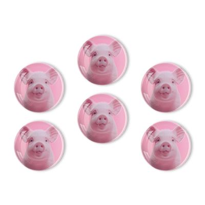 BaHomeck Fridge Magnets 6 Pcs Cute Pink Piglet with Smiling Round Strong Magnetic Glass Small Refrigerator Magnet,Home Decoration for Office Whiteboards,Classrooms,Cabinet and Dishwasher