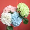 2pcs Real Touch Hydrangea Artificial Flowers Fake Flowers Artificial Plant for Vase Home Decor Wedding Bouquet Party Decorations(2PCS White) view 3