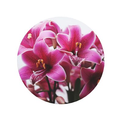 Fridge Magnets Heavy Duty Strong Magnets Mini Cute Refrigerator Magnet Novelty Fridge Sticker Magnetic Lily Flowers Decorative Magnet for Whiteboard Cabinet Locker Kitchen