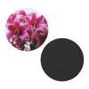 Fridge Magnets Heavy Duty Strong Magnets Mini Cute Refrigerator Magnet Novelty Fridge Sticker Magnetic Lily Flowers Decorative Magnet for Whiteboard Cabinet Locker Kitchen view 2