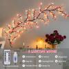 FIALAME 7.55 FT 144 LED Cherry Blossom Tree Branch Lights for Wall,8 Modes Artificial Pink Cherry Blossom Garland with Remote and Timer,Willow Vine Lights (144 LED Three-Color Cherry Blossom) view 3
