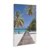 Stupell Industries 'Pristine Morning Tropical Coast'| Canvas Art view 2