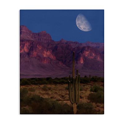 Stupell Industries Cactus In The Mountains Canvas Wall Art design by Renel Peters, 40 x 30
