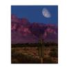 Stupell Industries Cactus In The Mountains Canvas Wall Art design by Renel Peters, 40 x 30 view 1