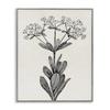 Stupell Industries Classic Cuts Botanicals Gray Framed Giclee Art design by Karen Smith, 20 x 16 view 1