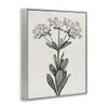 Stupell Industries Classic Cuts Botanicals Gray Framed Giclee Art design by Karen Smith, 20 x 16 view 3