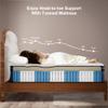 SURLUNKEYS Queen Mattress Medium Firm - 14 Inch Memory Foam Hybrid Mattress view 4