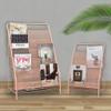GFHSKRPL Floor Standing Magazine Rack Holder Organizer, Brochure Magazine Literature Display Holder Rack, Elegant Design Metal Rack for Home view 4