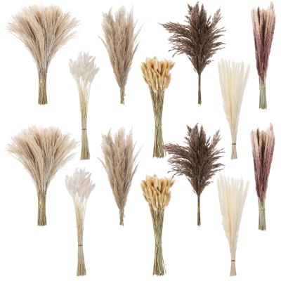 300 Pcs Dried Pampas Grass Bouquet with Natural Eucalyptus and Bunny Tail Grass, Bohemian Home Decoration, Perfect for Wedding and Table Centerpieces