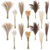 300 Pcs Dried Pampas Grass Bouquet with Natural Eucalyptus and Bunny Tail Grass, Bohemian Home Decoration, Perfect for Wedding and Table Centerpieces view 1