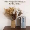 300 Pcs Dried Pampas Grass Bouquet with Natural Eucalyptus and Bunny Tail Grass, Bohemian Home Decoration, Perfect for Wedding and Table Centerpieces view 3