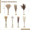 300 Pcs Dried Pampas Grass Bouquet with Natural Eucalyptus and Bunny Tail Grass, Bohemian Home Decoration, Perfect for Wedding and Table Centerpieces view 4