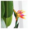 Artificial Tree Artificial Tree Nordic Style Living Room Bedroom Garden Artificial Tree Decoration Artificial Plants,106cm view 4