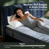 SURLUNKEYS Queen Mattress Medium Plush, 14 Inch Memory Foam Hybrid Mattress view 3