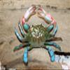 4 - Decorative Blue Crab Wall Decor, Poly-Resin, 6 Inch, 3D Realistic Design, Green and Blue with White and Red Accents, Indoor Mounting, CR-02 view 4