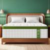 BedStory Extra Firm Queen Mattress 14 Inch, Hybrid Mattresses Queen Size Targeted Lumbar & Shoulder Support for Back Pain Relief, Fiberglass-Free, CertiPUR-US Certified, 365-Night Trial view 1