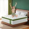 BedStory Extra Firm Queen Mattress 14 Inch, Hybrid Mattresses Queen Size Targeted Lumbar & Shoulder Support for Back Pain Relief, Fiberglass-Free, CertiPUR-US Certified, 365-Night Trial view 4