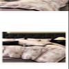 QHEVLXQI Queen Comforter Set, 100-Count Long-Staple Cotton Four-Piece Set Luxury Style Bedding(D,King Size) view 4