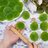 SUPERFINDINGS 50Pcs Artificial Lotus Leaf Floating Lily Pad Lotus Leaf Artificial Pond Plants Ornaments for Pool Aquarium Water Decoration Home Decoration 55x59x0.5~9mm view 3