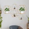 5X Hexagon Iron Wall Mount Shelves Floating Shelf Storage Rack for Small Plants Display, Golden view 4