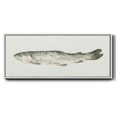 Renditions Gallery Floater Framed For Office Depiction of Fresh Fish Canvas Home Decor for Lounge Drawing Room Balcony - 12"x30" White Frame LT615