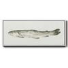Renditions Gallery Floater Framed For Office Depiction of Fresh Fish Canvas Home Decor for Lounge Drawing Room Balcony - 12"x30" White Frame LT615 view 1