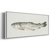 Renditions Gallery Floater Framed For Office Depiction of Fresh Fish Canvas Home Decor for Lounge Drawing Room Balcony - 12"x30" White Frame LT615 view 2