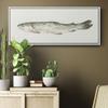 Renditions Gallery Floater Framed For Office Depiction of Fresh Fish Canvas Home Decor for Lounge Drawing Room Balcony - 12"x30" White Frame LT615 view 3
