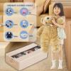 Foldable Shoe Organizer for Closet - 60x33x14cm Transparent Storage Box with Handles & Adjustable Dividers - Versatile Shoe Storage Solution(Beige,2 pack) view 3