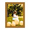 M Modern Memory Design 16x15 Gold Picture Frame Ornate - Acrylic Glass 16x15 Frame view 1