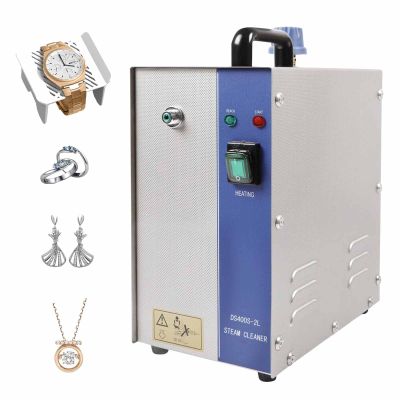 1300W Professional Jewelry Steam Cleaner 2L Stainless-Steel Gemstone Cleaning Steaming Machine for Jewelry Stores(4L,220V)