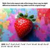 10x14 Strawberry Area Rug, Washable Colorful Strawberry Rug, Cute Fruit Rugs, Large Berry Carpet for Girls Bedroom, Living Room, Non Slip & Faux Cashmere Low Pile view 2