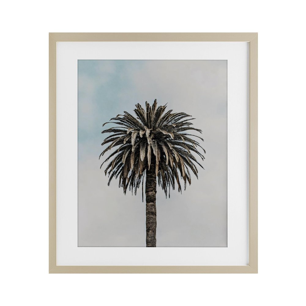 Stupell Industries Centric Elegant Palm Birch Framed Print Under Glass, design by LSR Design Studio, 21 x 17