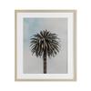 Stupell Industries Centric Elegant Palm Birch Framed Print Under Glass, design by LSR Design Studio, 21 x 17 view 1