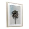 Stupell Industries Centric Elegant Palm Birch Framed Print Under Glass, design by LSR Design Studio, 21 x 17 view 3