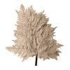 10pcs Dried Flower Home Decorations Preserved Goat Tooth Leaf Fiddlehead Ferns Leaf Dekoration Plant Wedding Decorations Preserved Goat Tooth Flower view 1