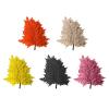 10pcs Dried Flower Home Decorations Preserved Goat Tooth Leaf Fiddlehead Ferns Leaf Dekoration Plant Wedding Decorations Preserved Goat Tooth Flower view 2