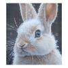 ALAZA Winter Rabbit Bunny Dishwasher Magnet Cover Sticker Decorative Refrigerator Magnet Panel Decal Cover for Home Kitchen Appliance Decor view 1