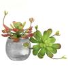 Urier Artificial Cactus Plants Outdoor,Mini Fake Succulents,Plastic Plant Mini Cactus Christmas Tree for Bathroom Decorations,Kitchen Bouquet Garden & Outdoor Home Dcor (2, Round) view 3