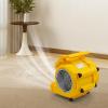 250W Floor Fan with 3 Speeds, Centrifugal Air Mover with 3 Blowing Angles and Timer Portable Floor Blower Fan Compact Carpet Dryer 14.7ft Power Cord for Drying Carpets Floors, Ventilation (Yellow) view 4