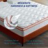 12 Inch Mattress Queen, Medium Firm , Gel Memory Foam & Individually Wrapped Pocket Springs for Back Support, Motion Isolation & Cooling, CertiPUR-US Certified, Pressure Relief, Mattress in a Box view 3