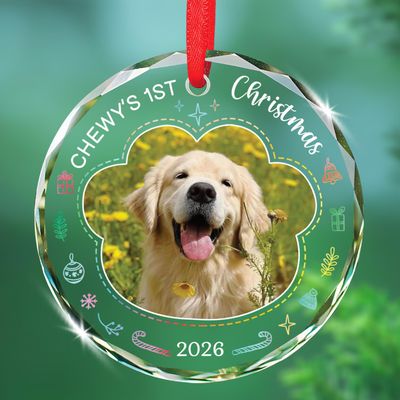 2026 Dog 1st Christmas Ornament, Personalized Picture Frame Dog 1st Xmas Tree Keepsake, Puppy Glass Ornament Gift for Pet Dad Mom, Customized Name Pet Keepsake Decor, Puppy Lover Xmas Tree Decor 2026