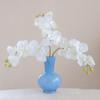 DINBOZ26X Vases for Flowers Glass Vase Flower Arranger for Hydroponic Fresh Flowers Artificial Dried Home Decor Unique Flower Vase view 4