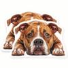 American Bulldog Magnets - Dog Breed Fridge Decor - Cute Puppy Design - 2 Pack - - Sticks to Fridges, Lockers, Toolboxes, & More - Made in USA - AQM6454 view 1