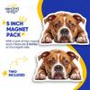 American Bulldog Magnets - Dog Breed Fridge Decor - Cute Puppy Design - 2 Pack - - Sticks to Fridges, Lockers, Toolboxes, & More - Made in USA - AQM6454 view 4