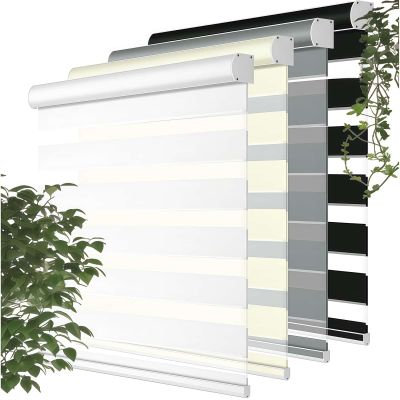 Cordless Zebra Blinds Dual Layer Light Control Zebra Shades for Day and Night Light Filtering Sheer Blinds Free-Stop Roller Windows Shades.Beige.62 W x (22" H to 120" H Customizeize)