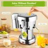 Commercial Juice Extractor, Electric Stainless Steel Juicer for Fruit, Vegetable Heavy Duty Centrifugal Juicer Machine, Juice & Re-sidue Separated Low Noise B2000(550W) view 3